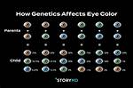 A Journey into Color, Genetics, and Style