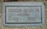 Charles Gross | Blognews