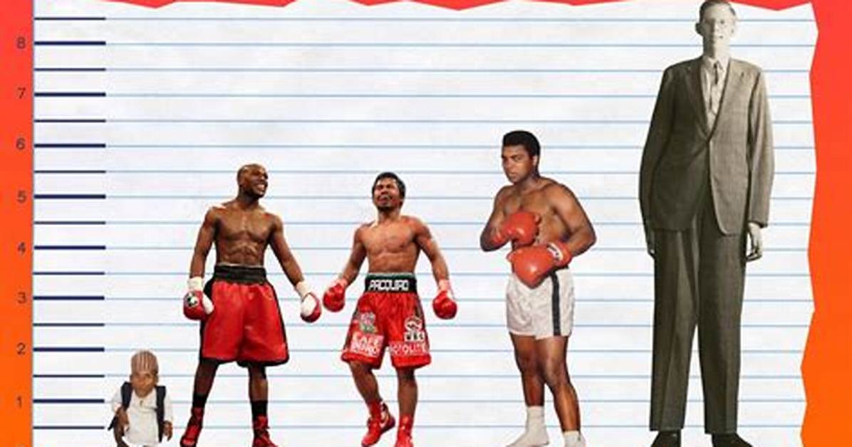 Floyd Mayweather's Height: the Stats Behind the Legend