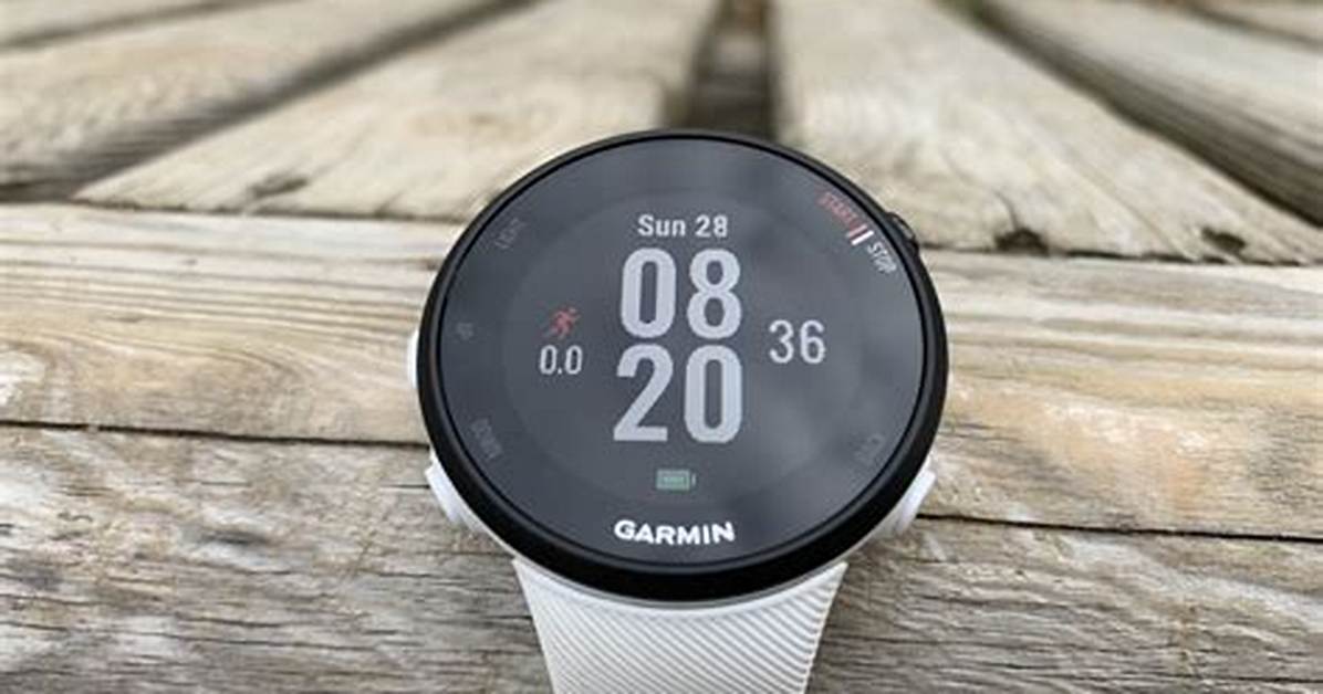 Garmin Forerunner 45: a Souped up Version of the Forerunner 35