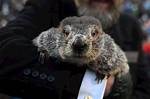 How Accurate Are Punxsutawney Phil's Groundhog Day Predictions? |