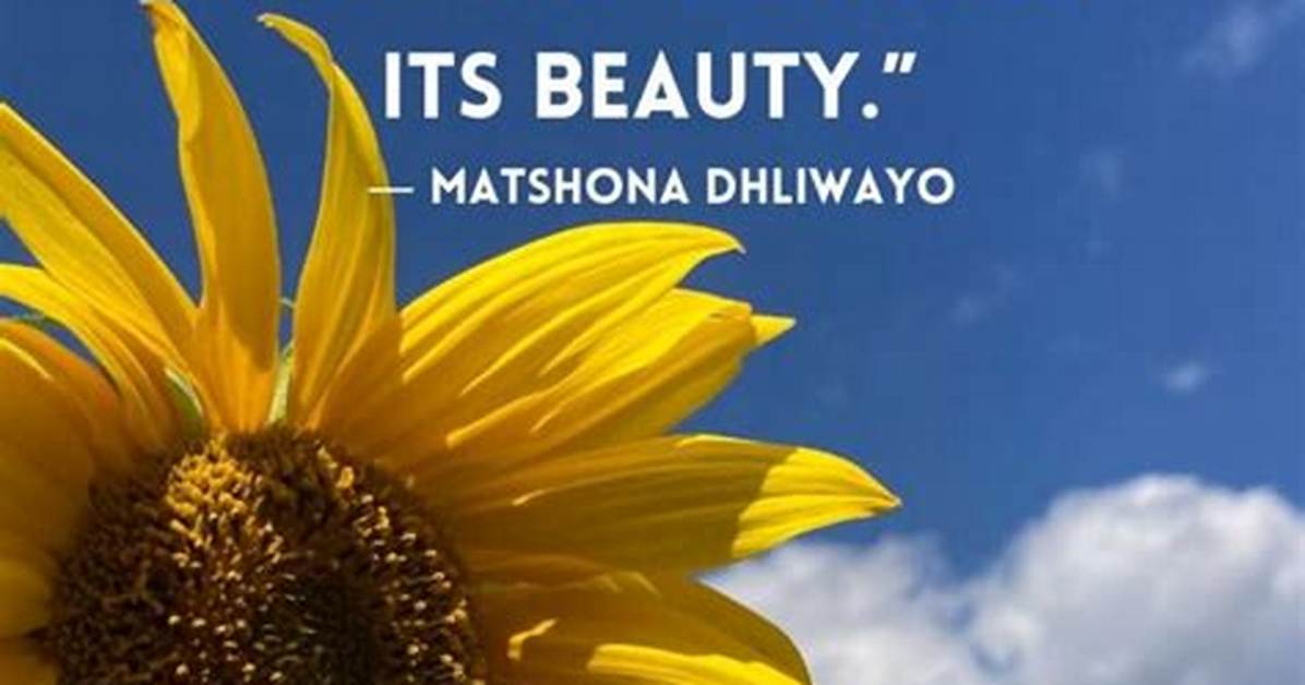 How to Protect Yourself from "Daisy Blooms Videos Photos Viral on Twitter"