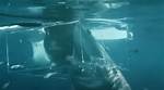 Jimi Partington's Shark Attack and Its Lessons