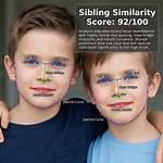 Mellstroy Family Resemblance: a Portrait of Similarity
