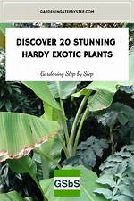 The Essential Guide to Hardy Wives: Tips and Advice for a Fulfilling Marriage