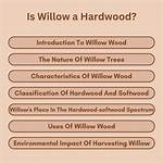 Unveiling the Life of Willow Haroer: a Rising Star