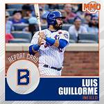 Vibex | Luis Guillorme Biography