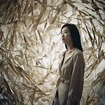 Where Is Ed Shin Wife Karen Shin Now? Age Difference and Kids American Greed -